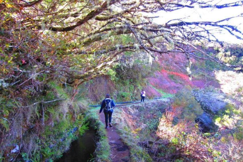 Quinta das Colmeias House - foto 34