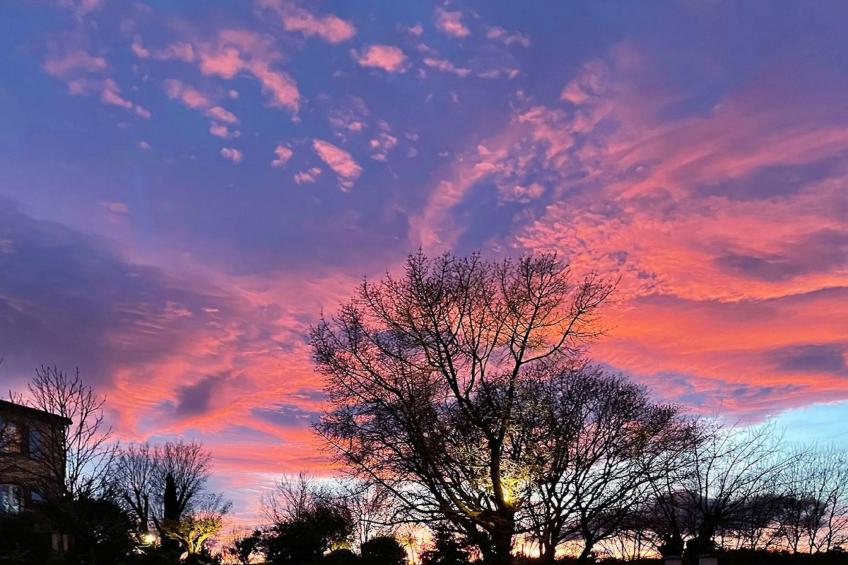 Mas Nouvel - foto 14