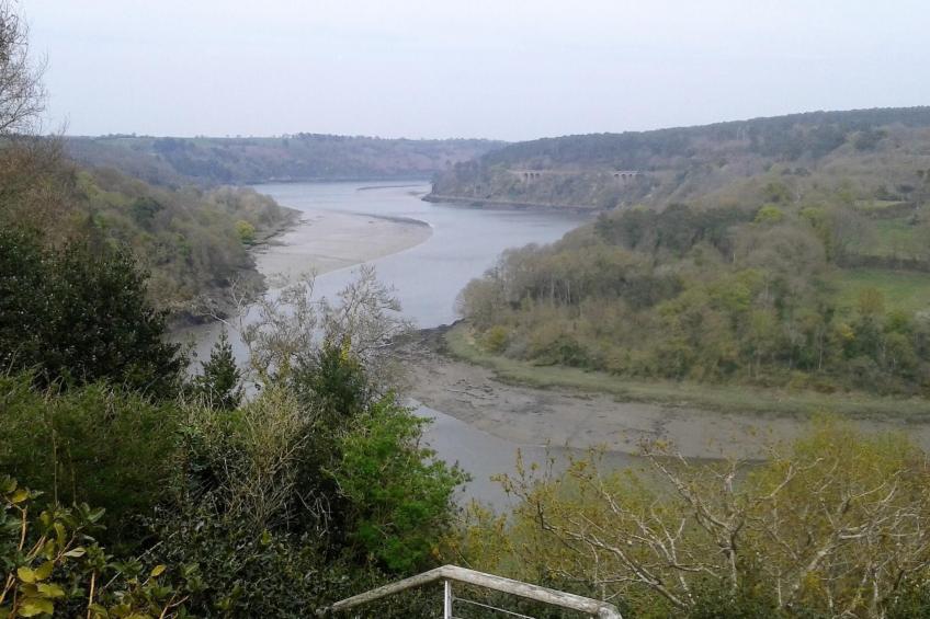 Chalet "gite du bois d'amour" (Hütte des Liebesholzes) - foto 25