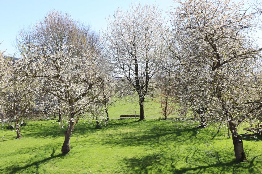 La Tour de la Chapelle - foto 32
