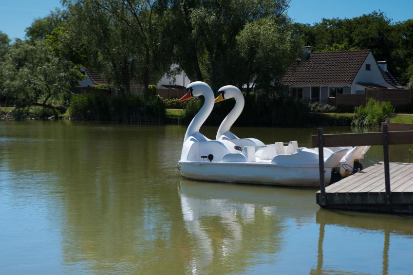 Sunparks Oostduinkerke aan Zee - foto 17