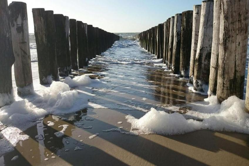 Zoutelandseweg 2 Biggekerke - foto 26