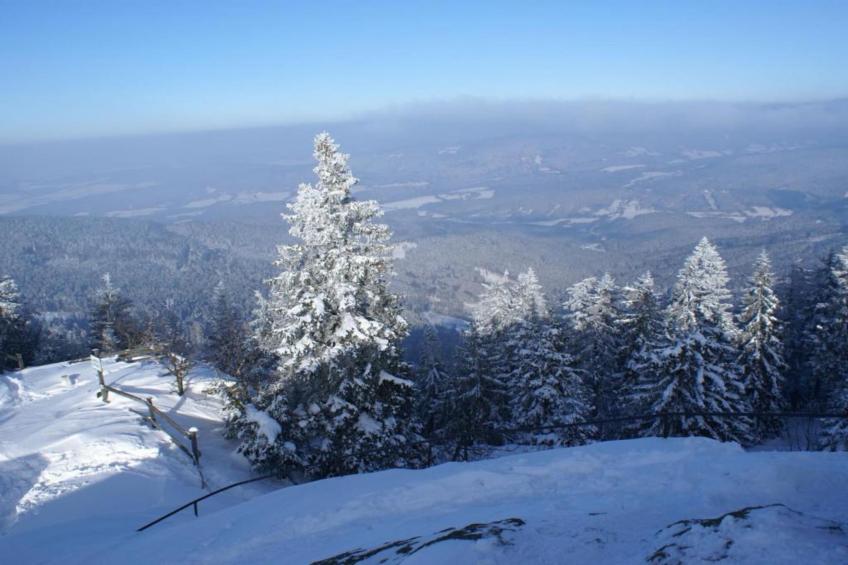 Bayerischer Wald - foto 36