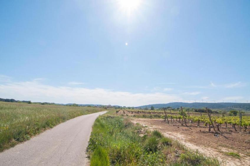 Villa - FRAISSÉ-DES-CORBIERES - foto 34