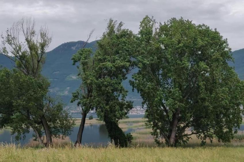 Casa dei Nonni - foto 37