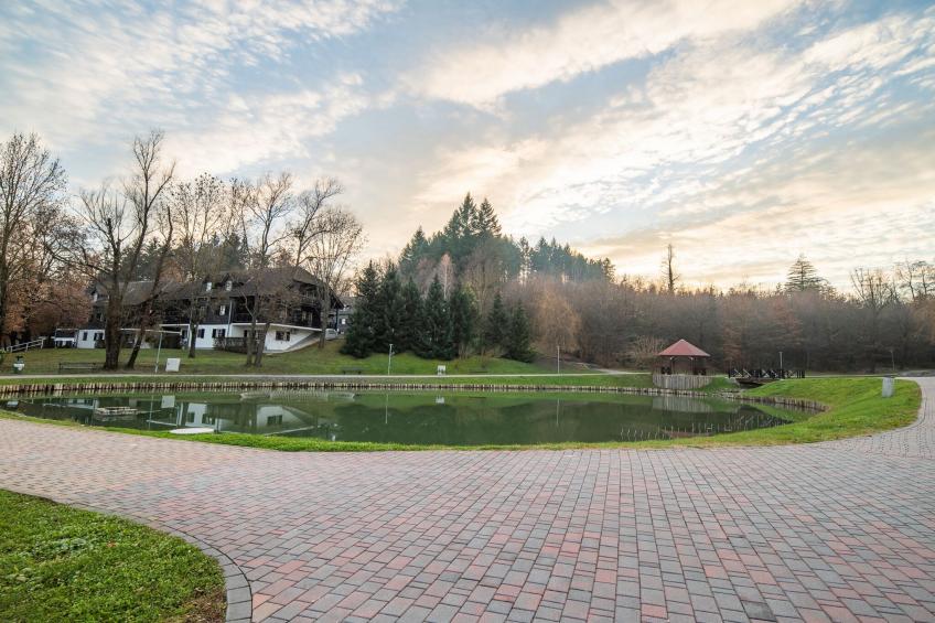 Rustic and Radiant Retreat Apartments with Terrace - Classic One Bedroom Apartment with Terrace (owner app 12) - foto 24