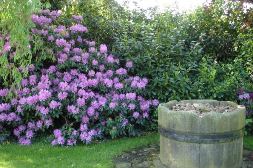 Großzügiges Haus mit traumhafter Gartenanlage - foto 25