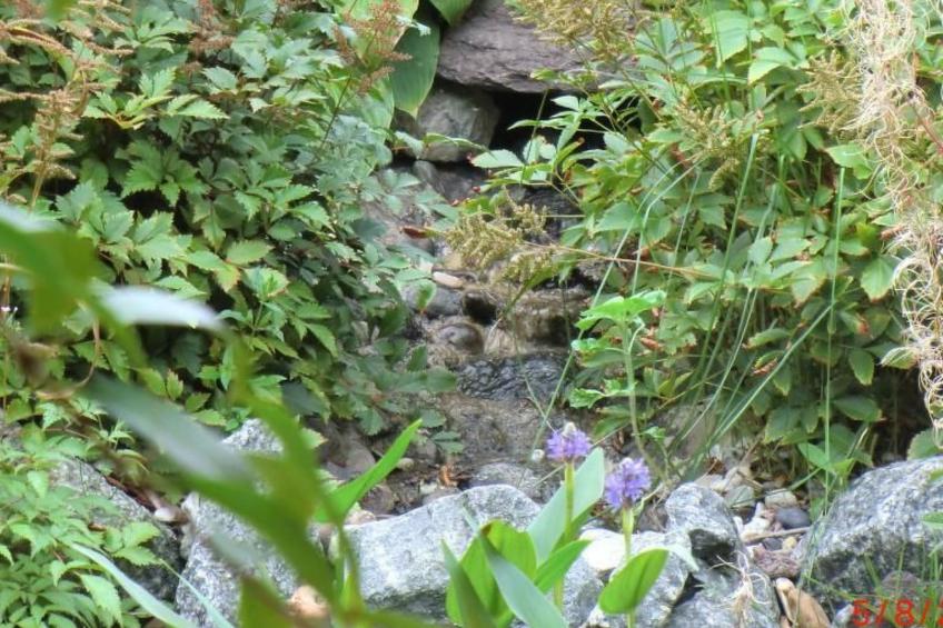 Appartement mit Blick auf das Wasser - foto 12