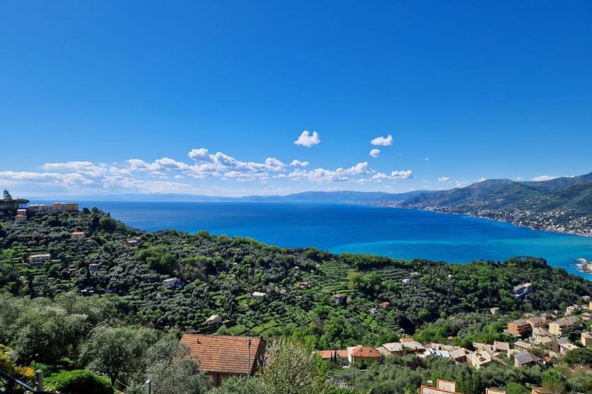 Casetta Romantica a San Rocco di Camogli by Holiday World - foto 19