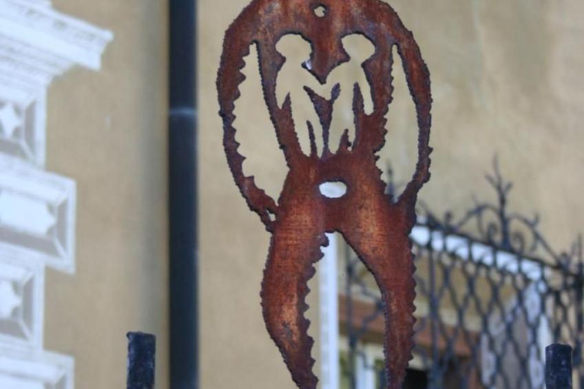 Chesa Arettas - foto 41