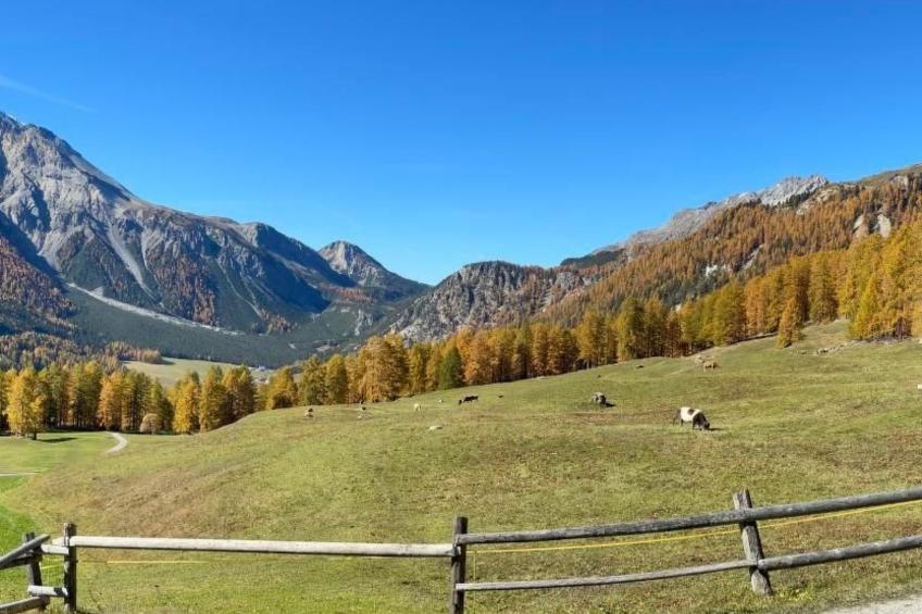 Haus Lü D'aint - foto 5