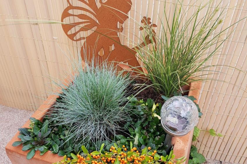 Ahrtal Vier Sterne - foto 10