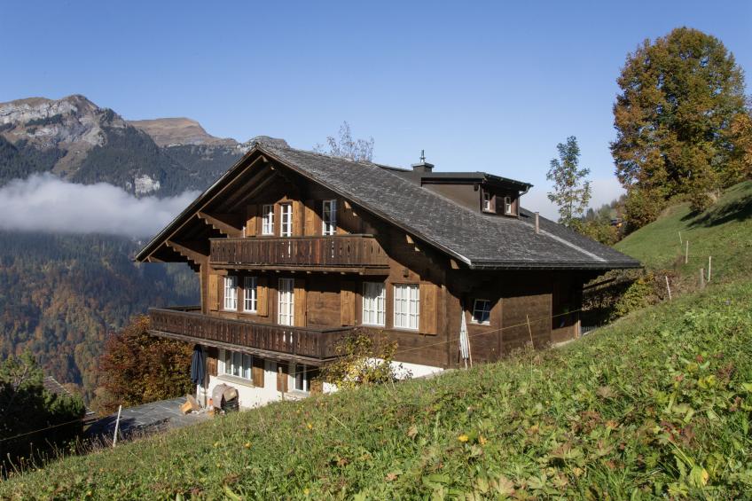 Drei Tannen - foto 6