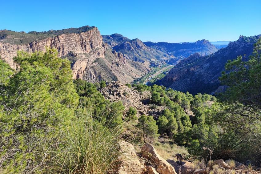 Domicilio de Vida - foto 58