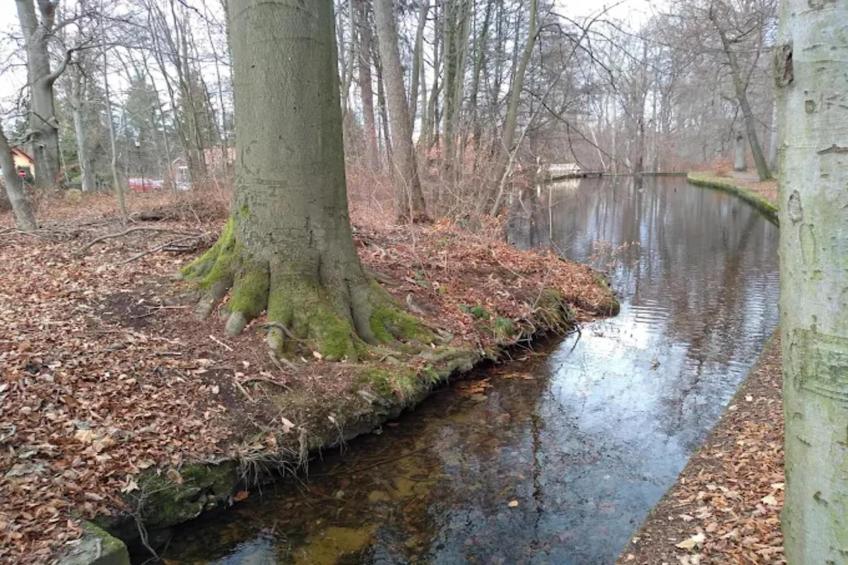 Haus Buchberg - foto 16