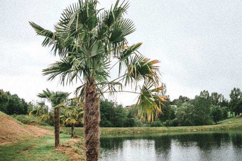 Terres de France -  Hameaux des Lacs - foto 18