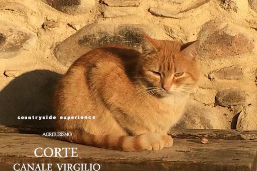 Das Landgut "Corte Canale Virgilio" mit Balkon - foto 39