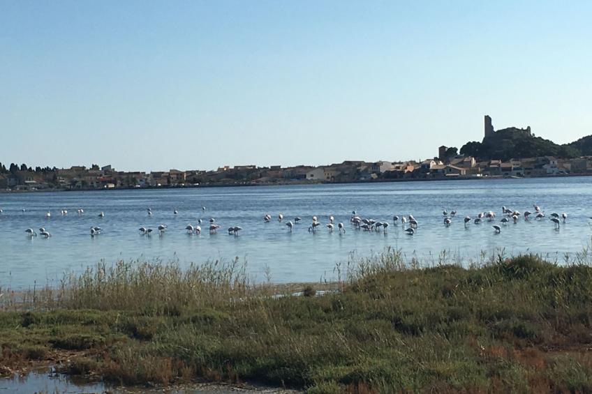 Residence du Grazel - foto 40