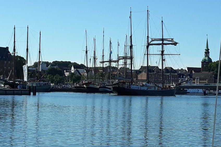 Land-Ferienhaus - foto 25