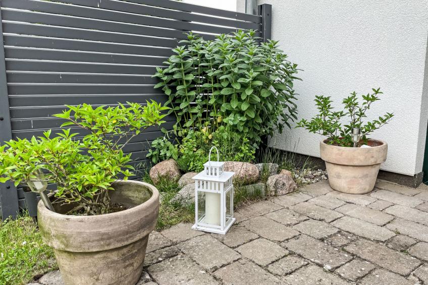 Ferienwohnung (LSI100) - foto 6