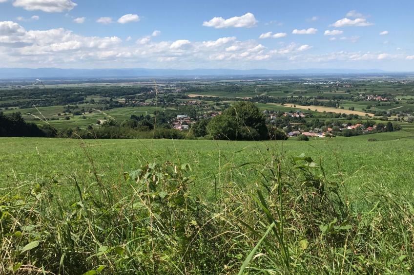 Haus Sonnenschein - foto 18