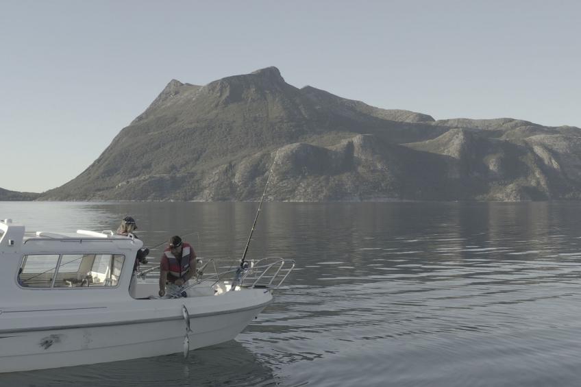 Meløy Naturopplevelser Tømmervik - foto 35