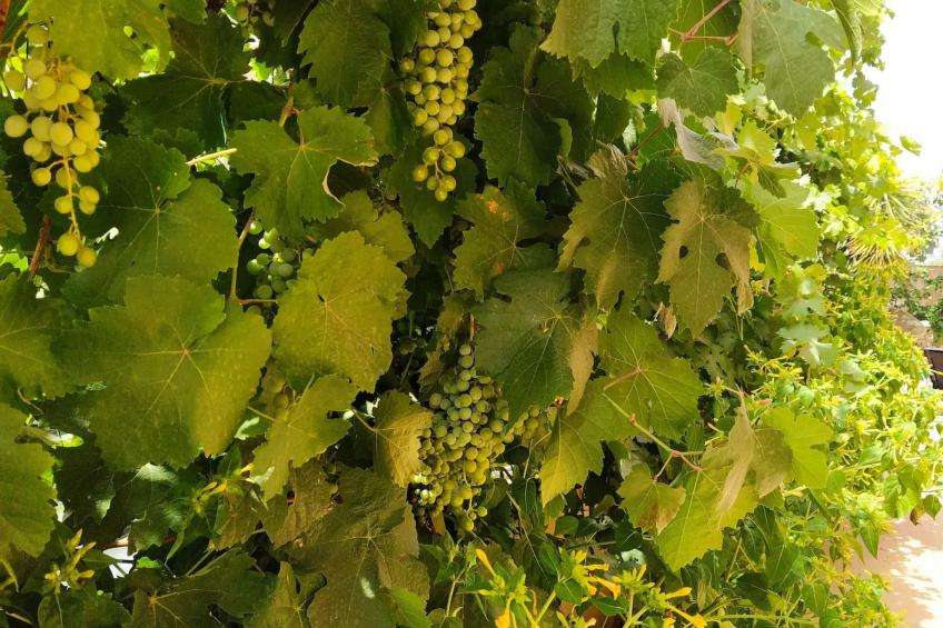 Helles Haus mit Aussicht und privatem Pool - foto 25