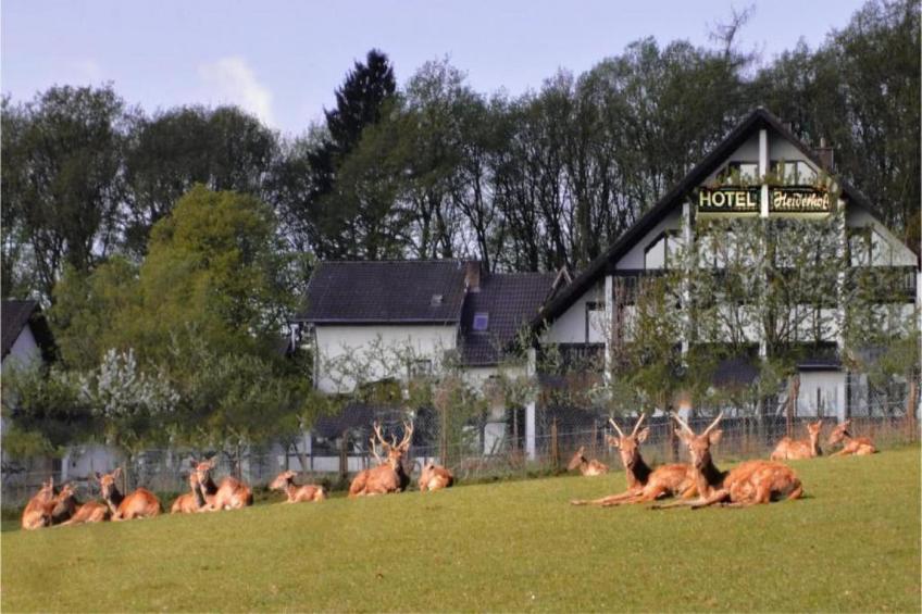 Heiderhof - Single Room - foto 21