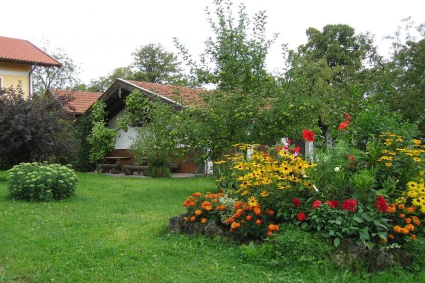 217651 - foto 14