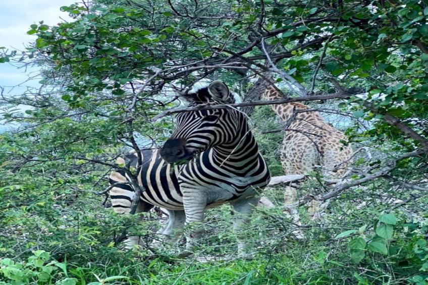 Villa Lanterfant - foto 38