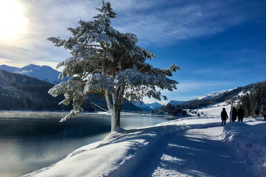 The Holiday Home Davos - foto 15