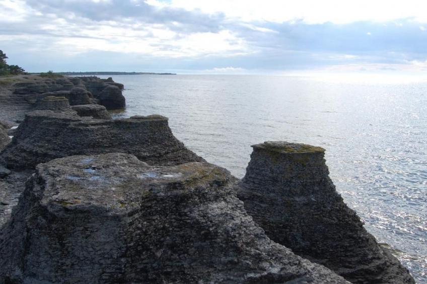 Särskilda - foto 41