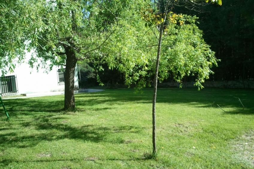 Mitten in der Natur - foto 16