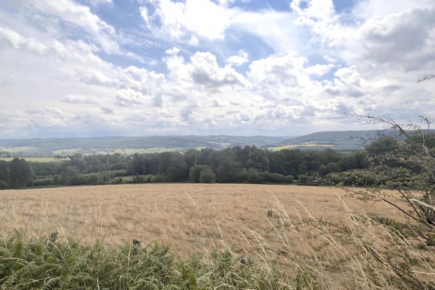 Sur les Thiers - foto 27