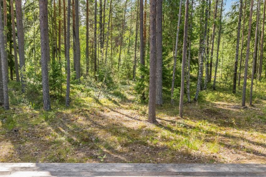 Villa väiski - foto 22