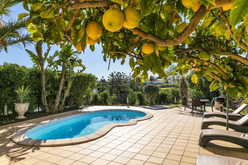 The Palm House - Townhouse at Vale de Milho golf