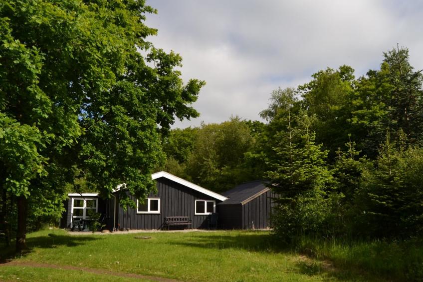 "Josina" - 32km from the sea in Western Jutland - foto 9