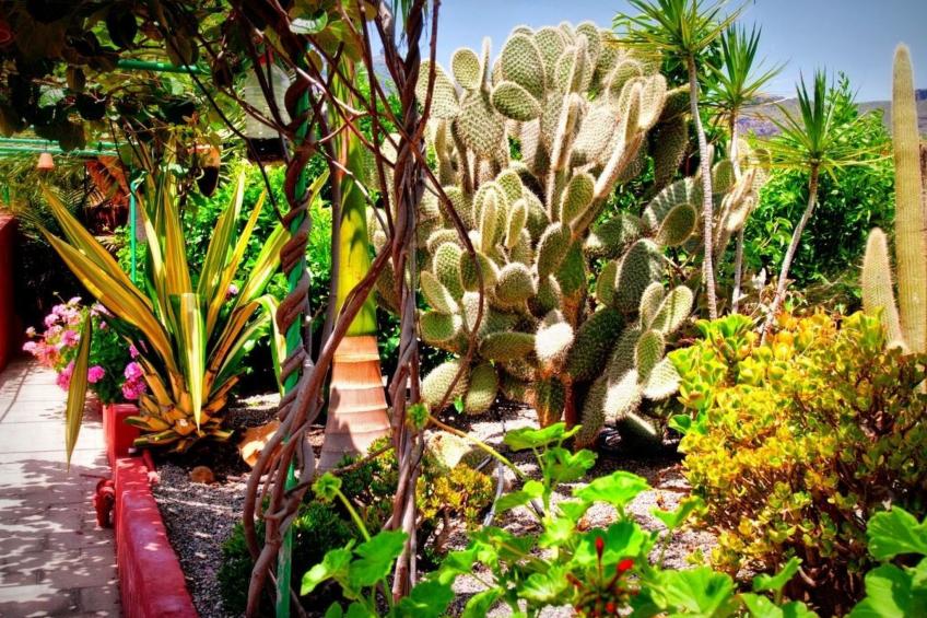 Finca mit Garten, Grill und Terrasse - foto 11