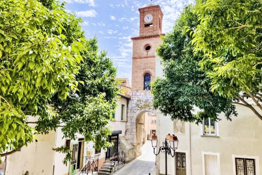 Les Aloès - foto 28