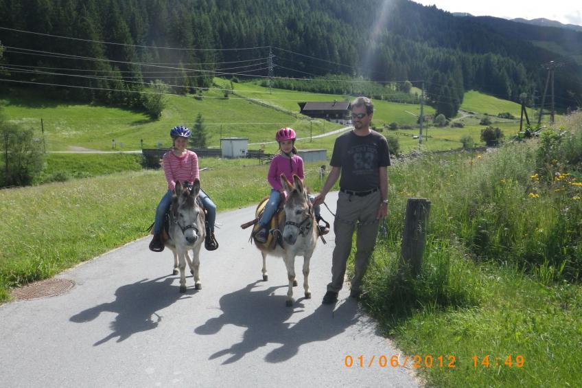 in Strassen mit Privatem Pool - foto 33