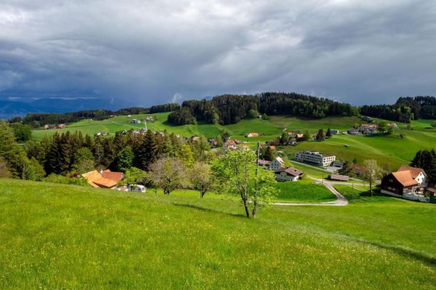 Fromsenrüti - foto 24