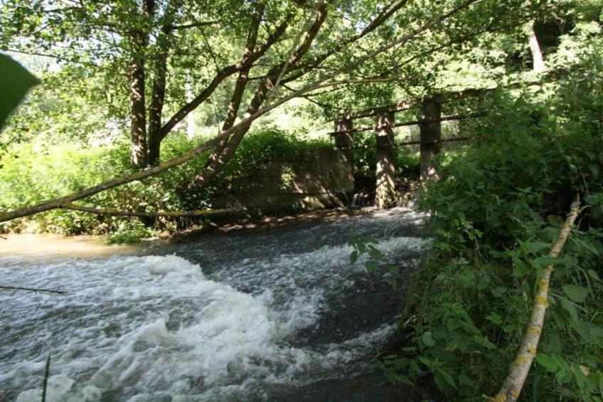 Les secrets du chat - foto 26