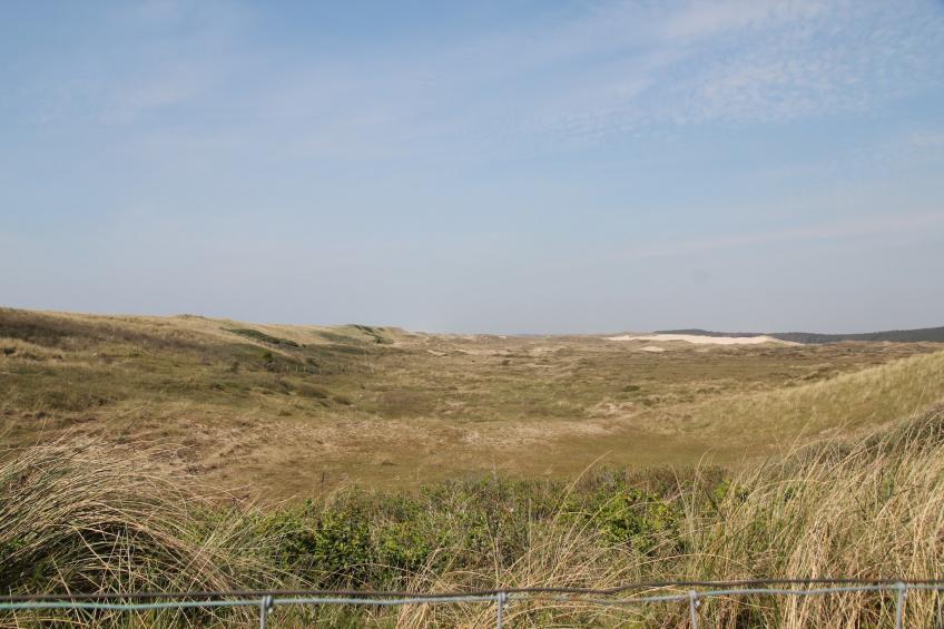 Zoomers aan Zee II - foto 15