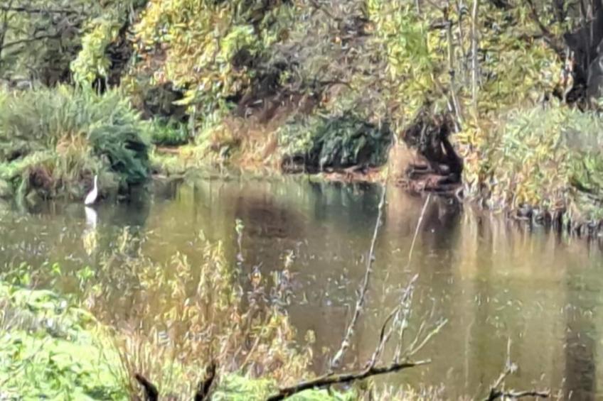 L'Alouette - foto 36