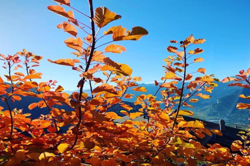 Fontanettaz V 014 - MOUNTAIN apartment 4 pers - foto 18