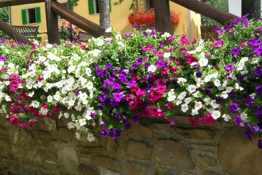 'Case cioni' mit Schwimmbad - foto 41