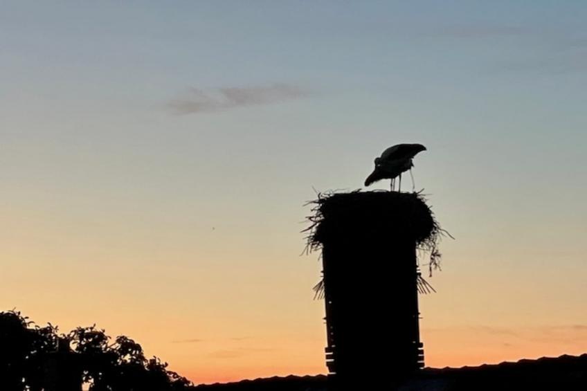 Fewo Gielow 2mP - foto 12