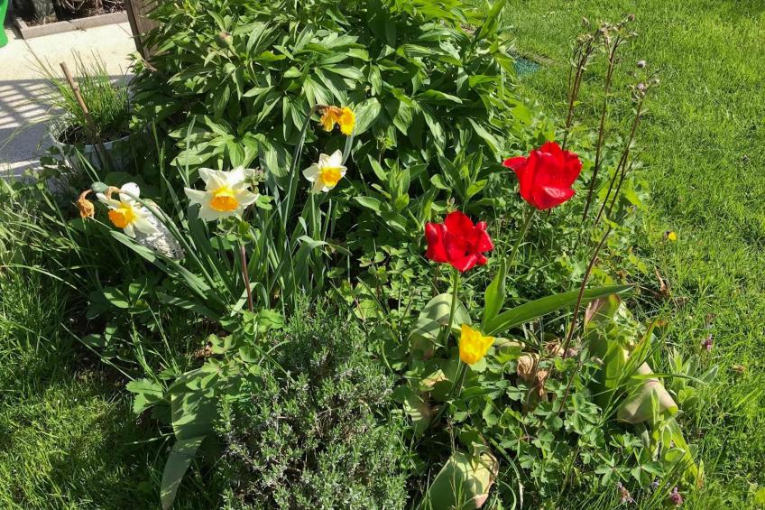 Böhmerwaldnest - foto 42