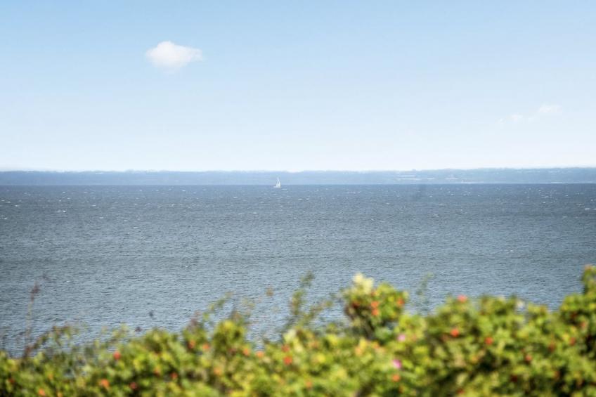 "Elfi" - 30m from the sea in Funen - foto 21