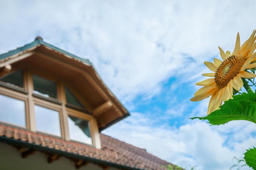 VILLA KATARINA - foto 5